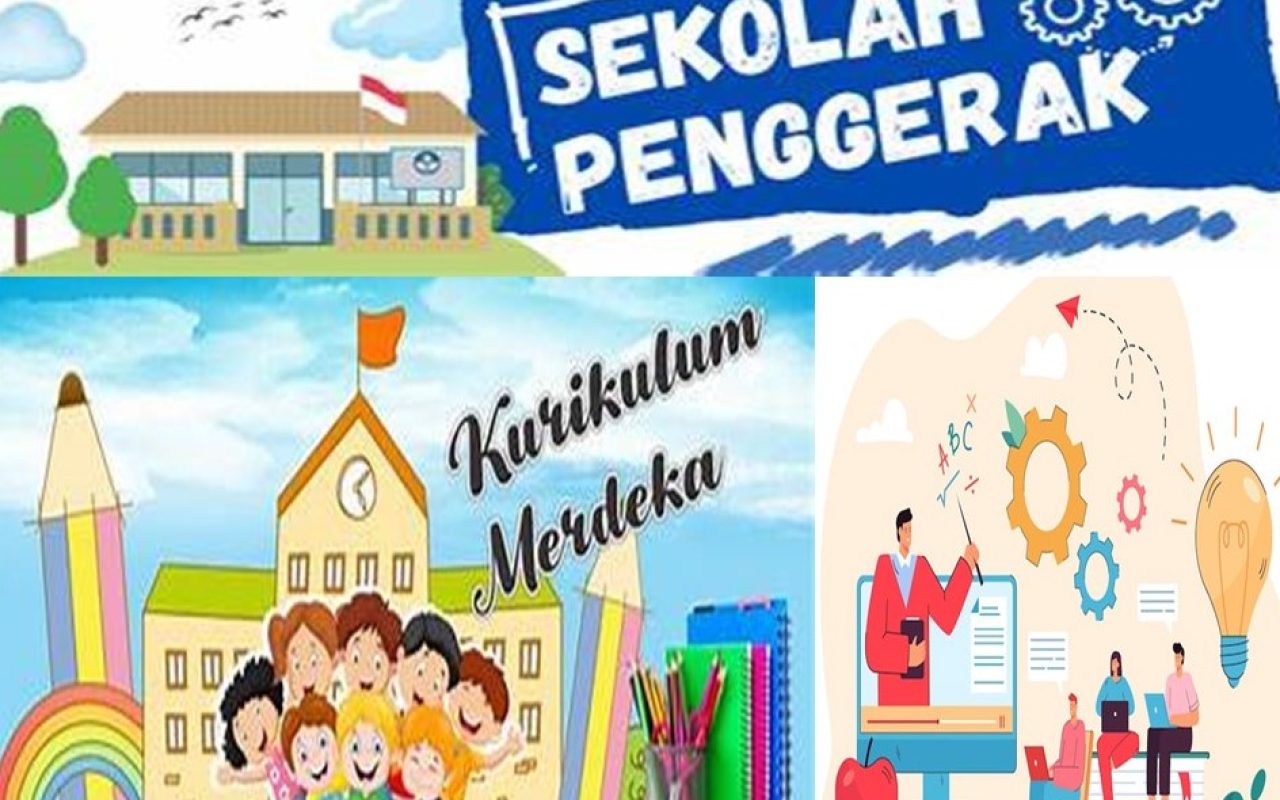 New PPT Presentation