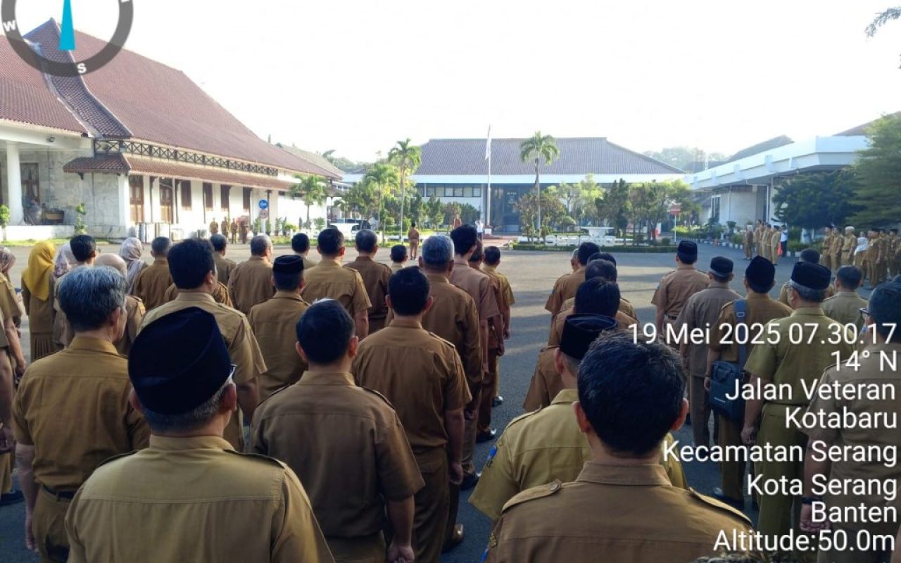 WhatsApp Image 2025-05-19 at 15.06.44